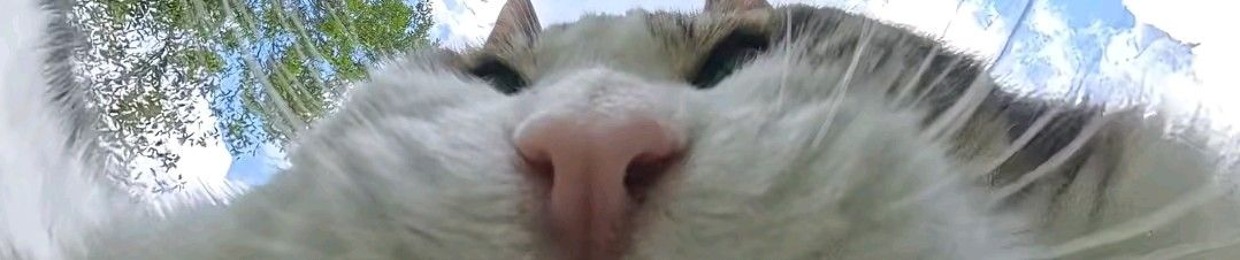 .......