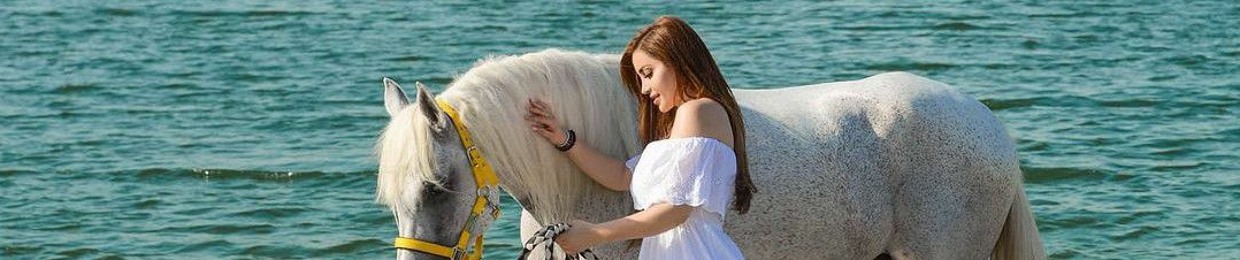 Ahmed Bakr