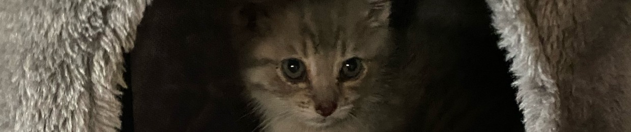 unamused
