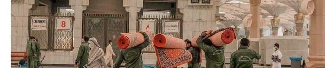 Ahmed Nageeb