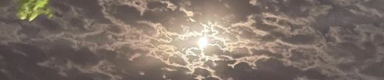 النفيعي