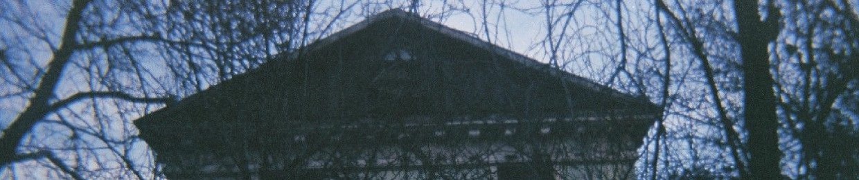 Дар'я Пестова