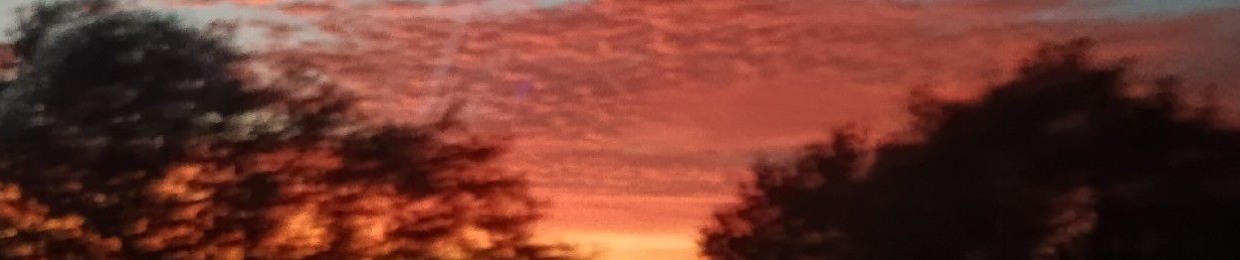 eriksito(read bio)I follow back