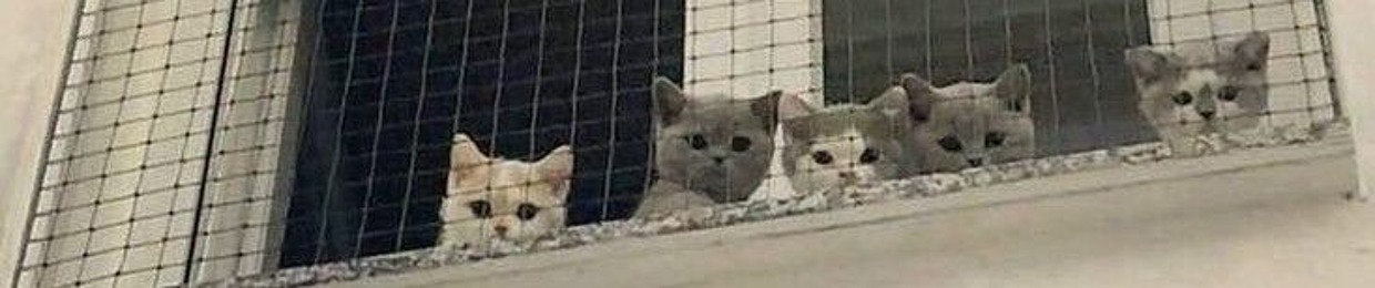 whiskas