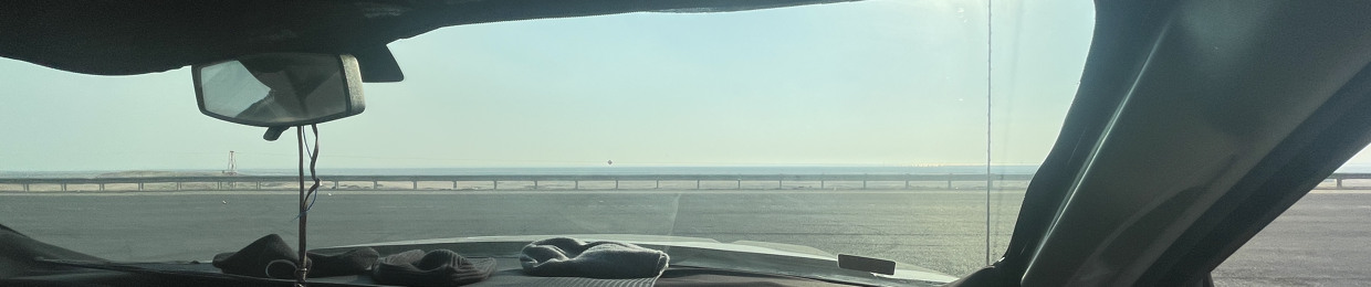 bo_dashti
