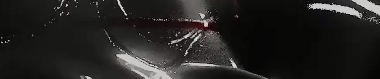 Ø