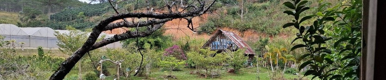 minhminh