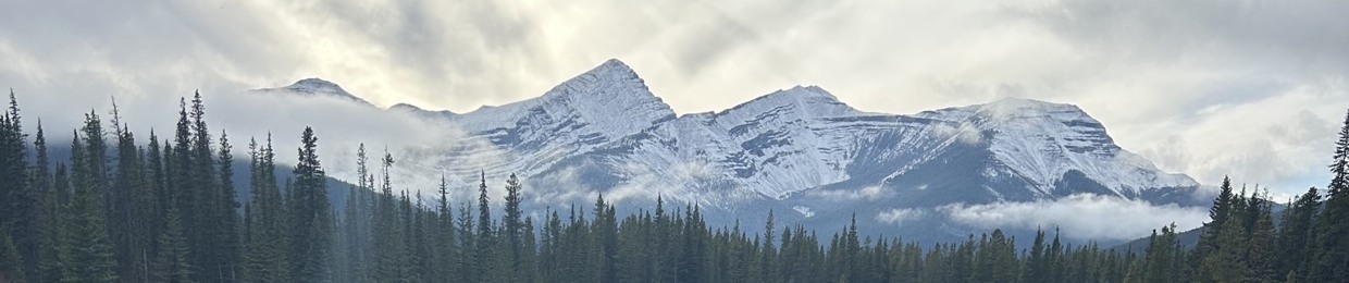 Co-B
