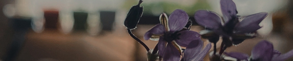 arisafeilee