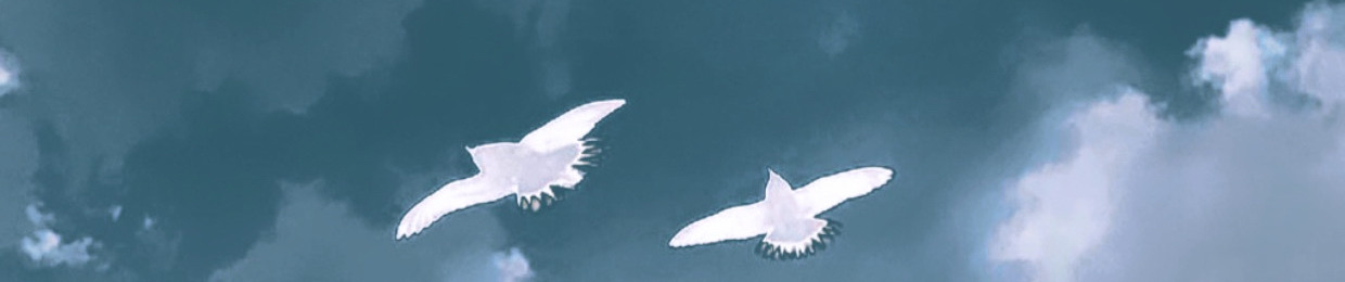 رَبــاب
