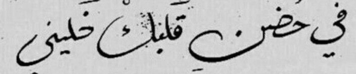 نور الهُدى