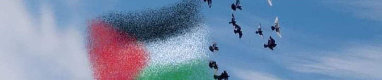 Manal Saad  "Luza 🍂