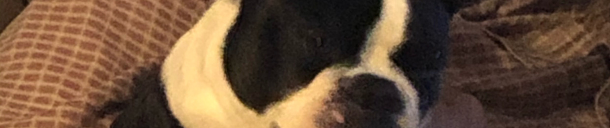 ur mom is a fiena - Carlos 2022