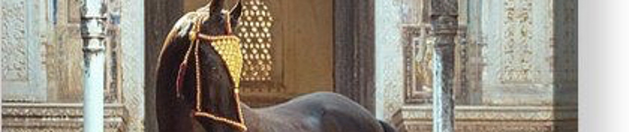 Shayma Sameh