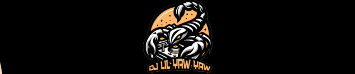 DJ LIL YAW YAW