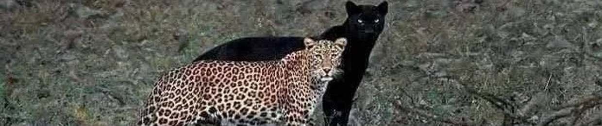 Ămŕ ẤbŎǔ EĻsổổd