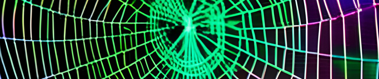 Boonesborough Beach Boy