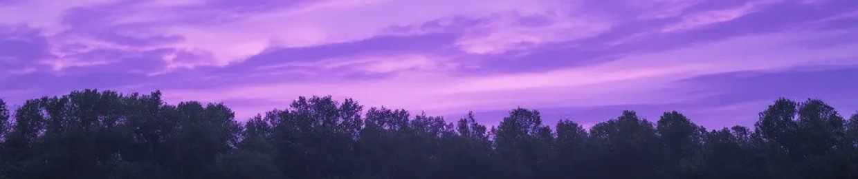 violetssky