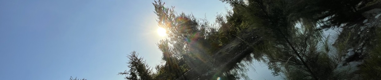 sh1vngel