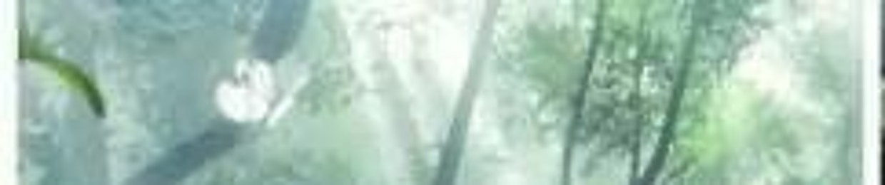 sayuh ⛨･ﾟ〜 ‎𐫱⭒۟ ᏒᏋᏰᏬᎥᏝᎴ 육ᏕᏋᎥᏠᎥᏁ୧ ‧₊ ᥫ᭡ elfSayu✦