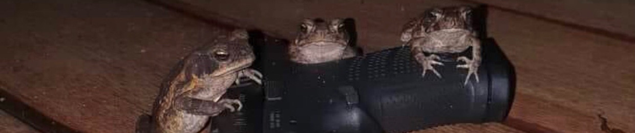 Sir Snapzz