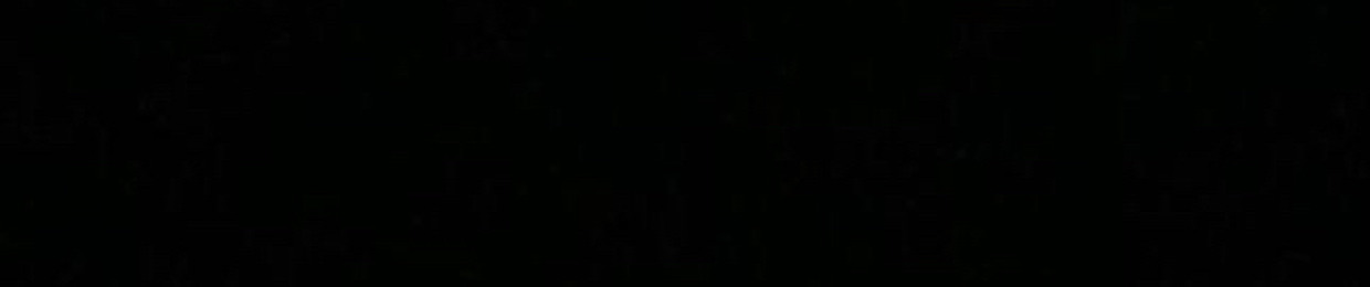 Deleted User