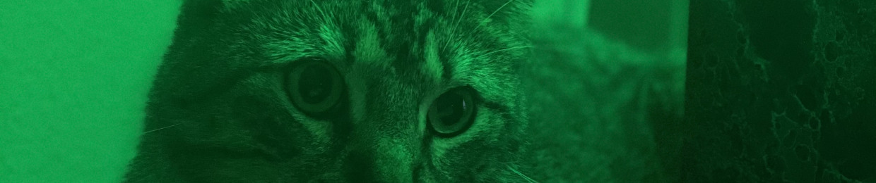 Śūnyatā