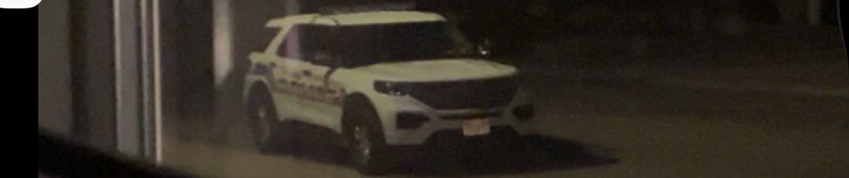 LVN22