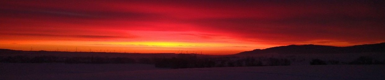 🎧Lucas May🎛️