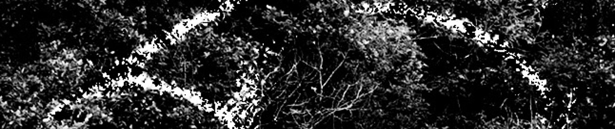 Subverse Events