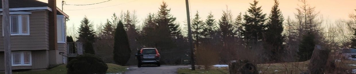 Finger doodoo the III