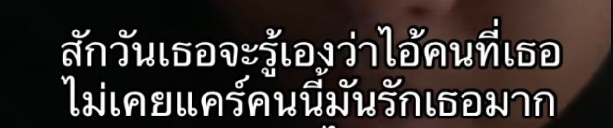 qxen_zy