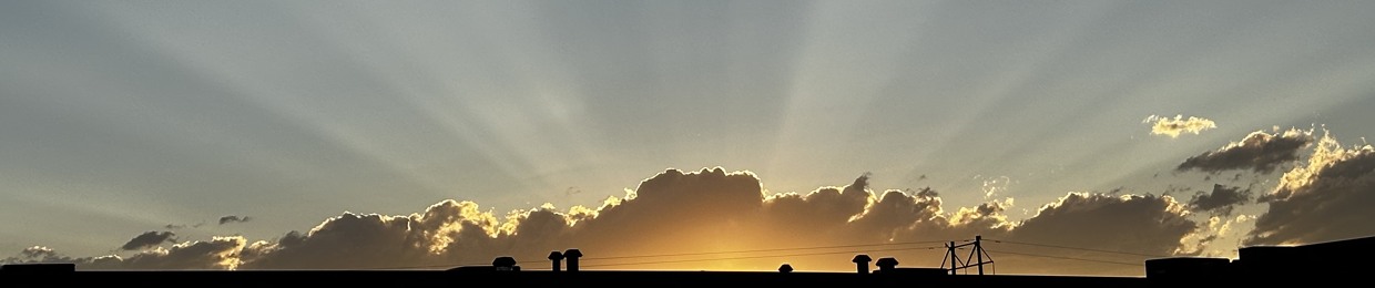 Robin “Rhinopolis” Dibble