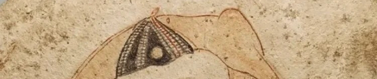 Enjoooe
