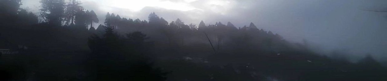 ‧₊˚ ⋅* ‧₊