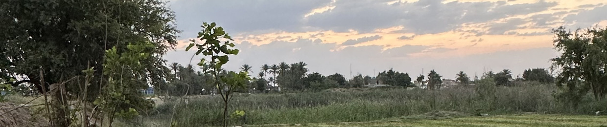 Ahmed khayoon