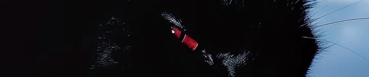 corey! ᕙ(⇀‸↼‶)ᕗ (@prodcorey)