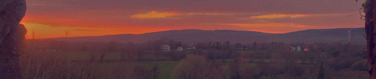 Gearoid Okeeffe