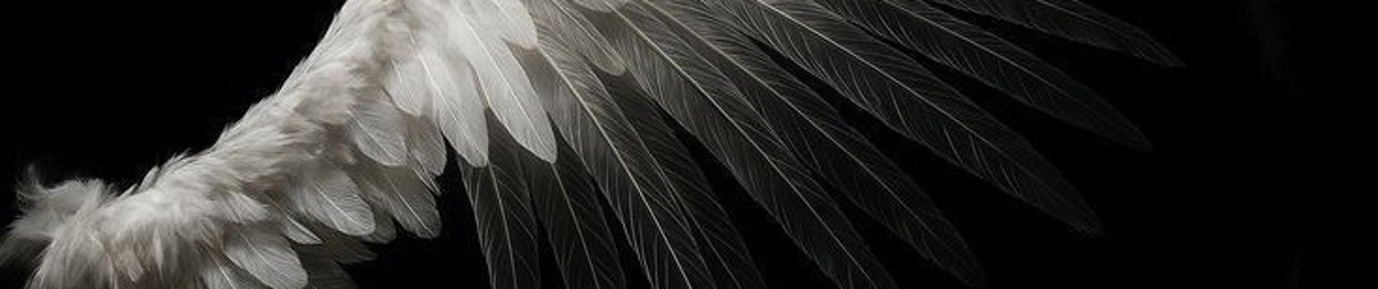 альбішоСаммерлав✌️✌️