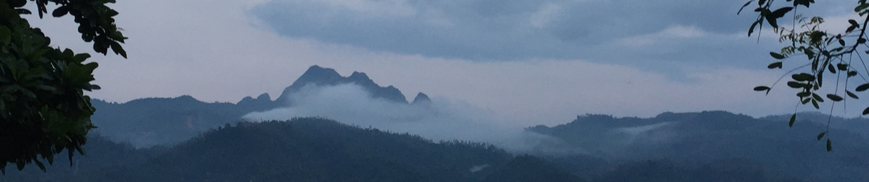 Nguyễn Ngân