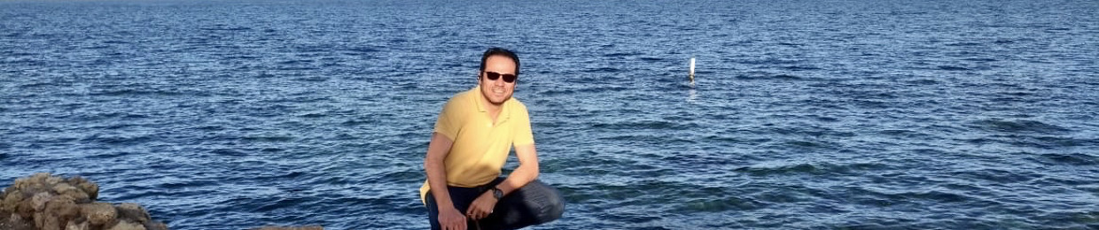 Hesham Rashwan