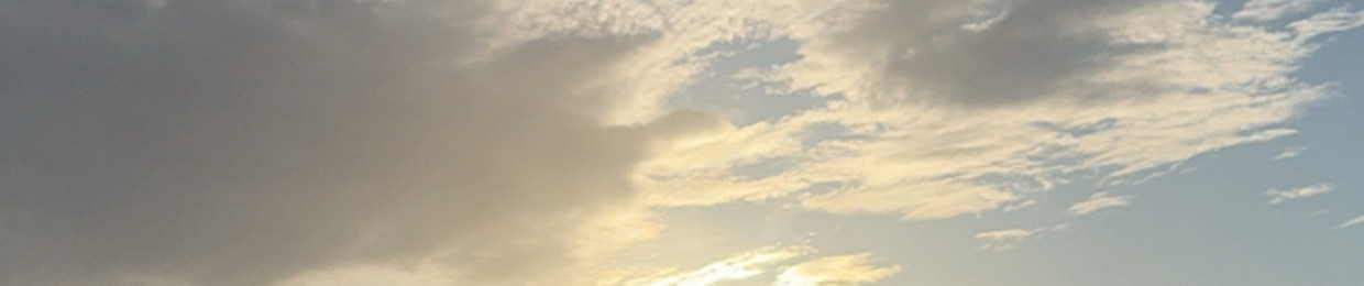 Gods lonely soldier