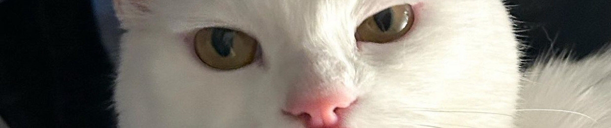 ѕΔму