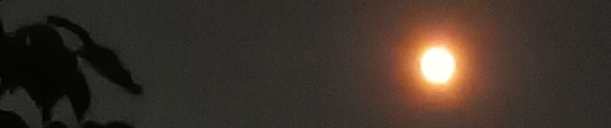 ø