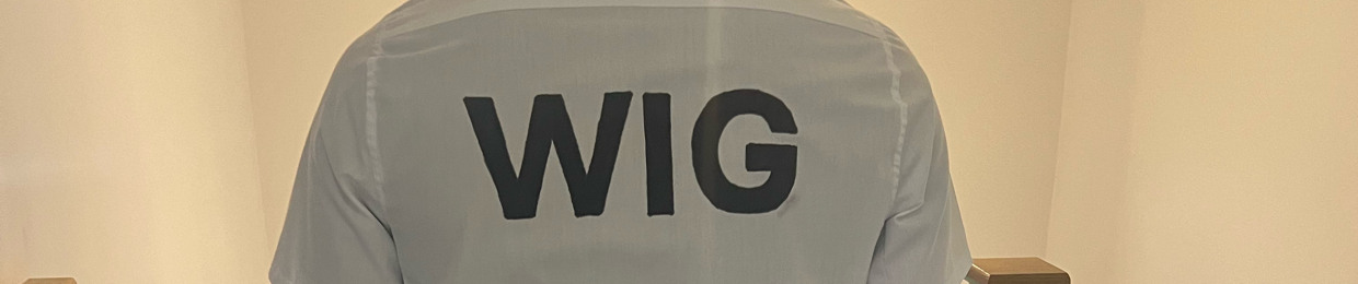 _WIG_07