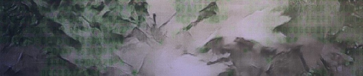 SILLS