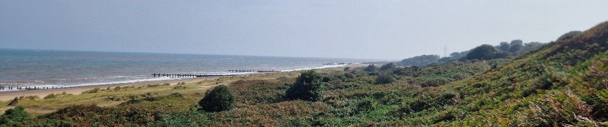 TheEastAnglian
