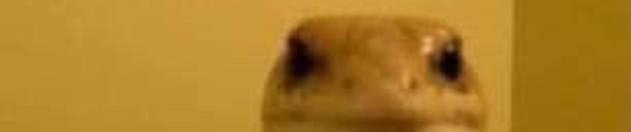 dimetra