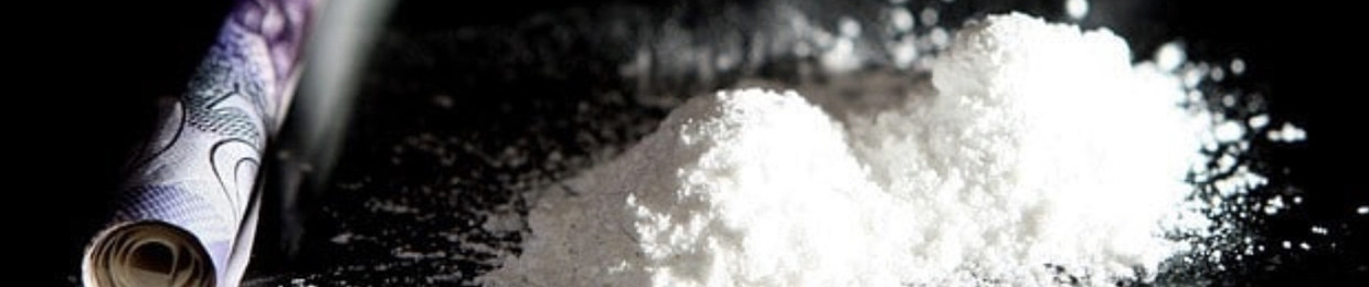 PartyPowder❄️