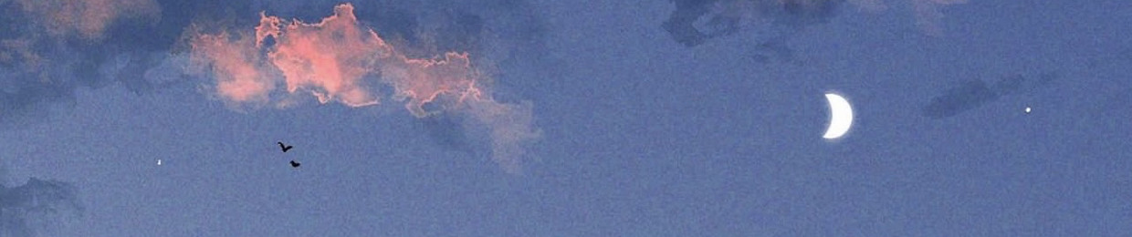 CosmicBoros